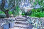 Cobbled walkway and manicured gardens